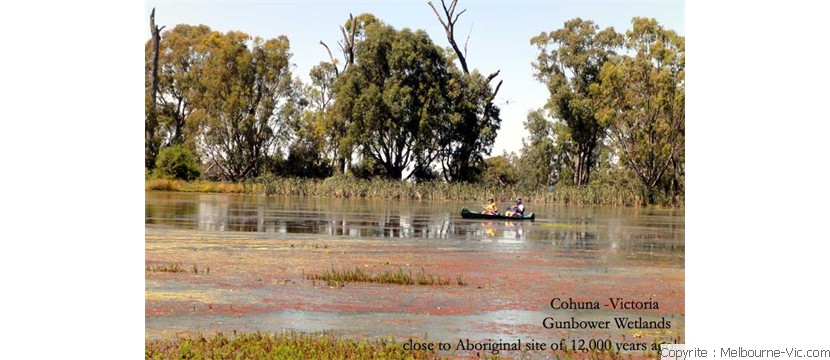 Cohuna-Wetlands