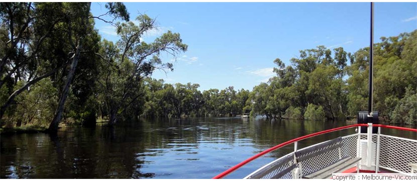 Murray River-SwanHill