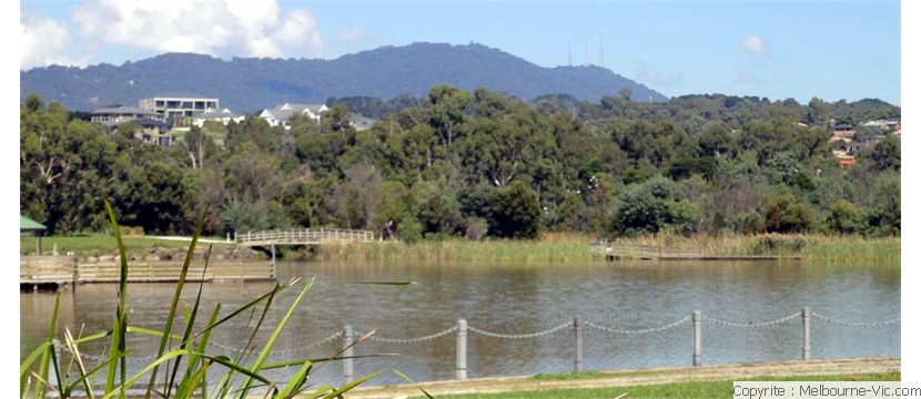 Dandenongs from Lilydale Lake